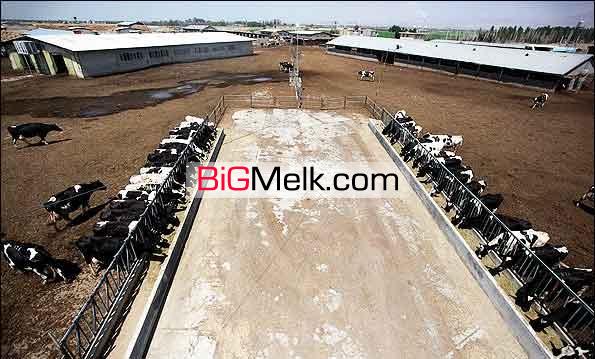 فروش دامداری صنعتی اردبیل