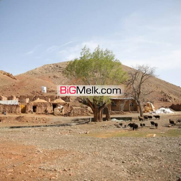 زمین ویلایی و کشاورزی