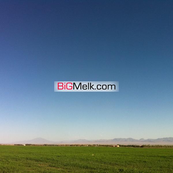 قابل توجه تولیدکنندگان گیاهان دارویی.