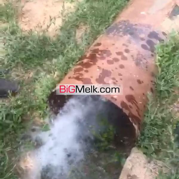 فروش مرغداری در 10 کیلومتری شهرضا اصفهان