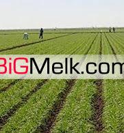 فروش‌زمین کشاورزی ۲ هکتار