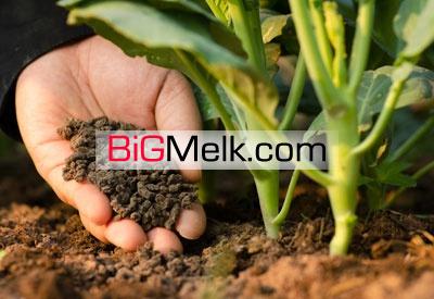 فروش کودشیمیایی وانواع ان درتهران