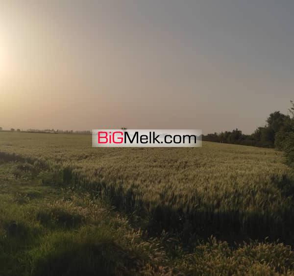 فروش یازده هکتار زمین آبی و مجتمع گاوداری و ویلا در کرمانشاه