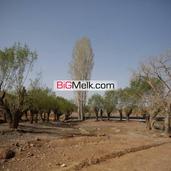 زمین ویلایی و کشاورزی