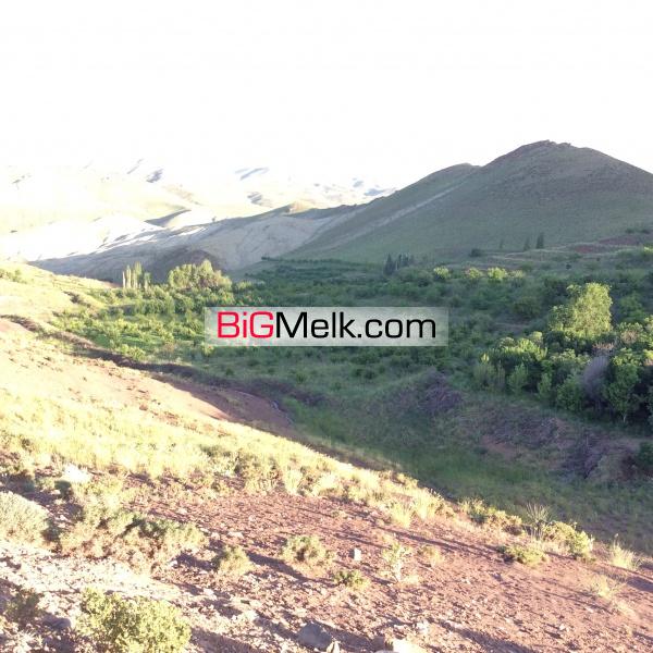 20 هکتار مزرعه با شرایط استثنایی