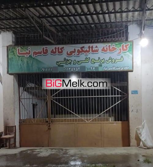 کارخانه شالیکوبی در بابلسر
