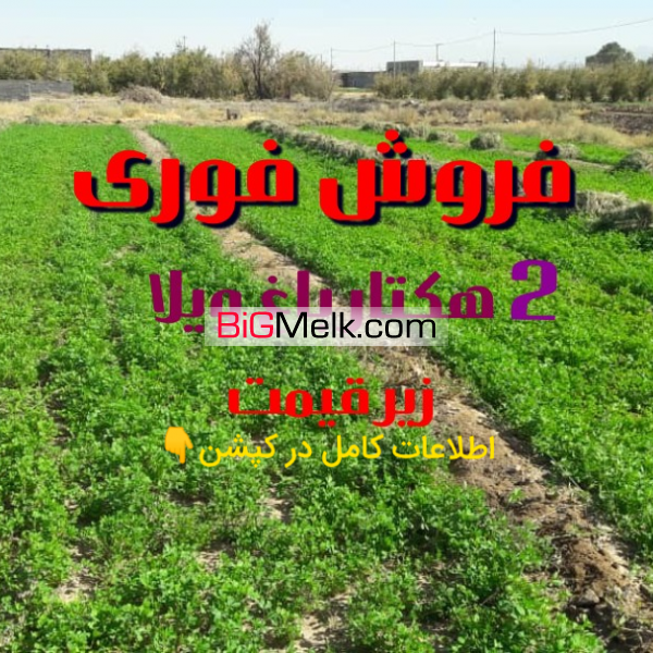 فروش 2 هکتار زمین با ساخت