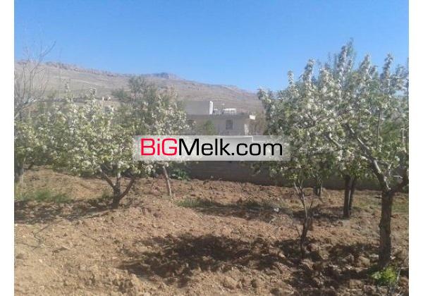 فروش باغ فارس،شیراز