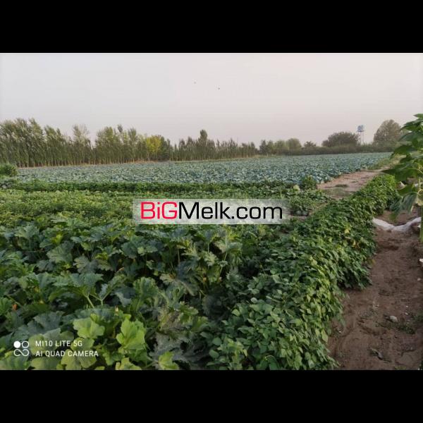 ۳هکتار زمین کشاورزی با امتیازات کامل