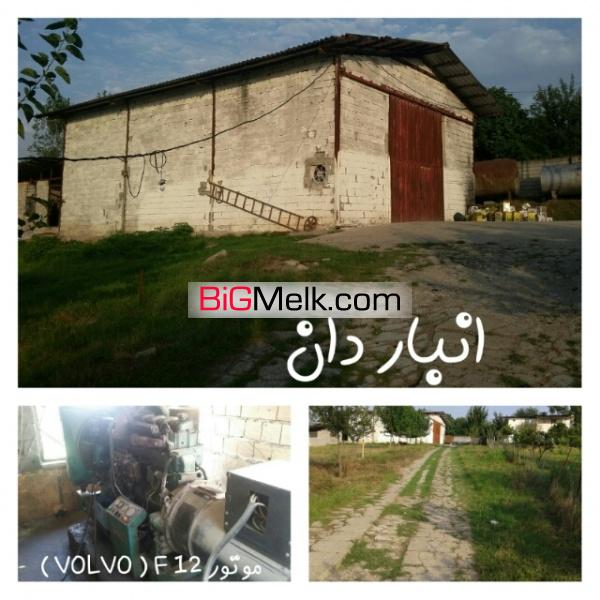 فروش مرغداری مرغ گوشتی