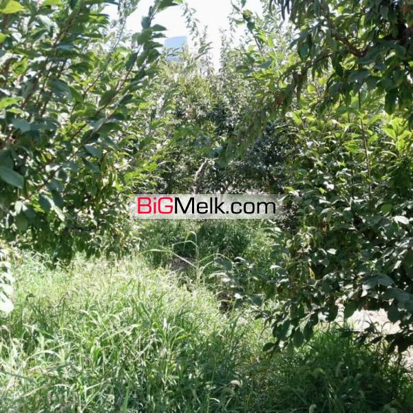 باغچه 500 متری چهردیواری کردان چهارباغ