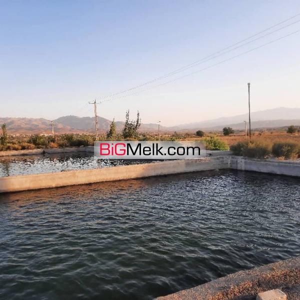 ۴۵ هکتار زمین کشاورزی مکانیزه محلات