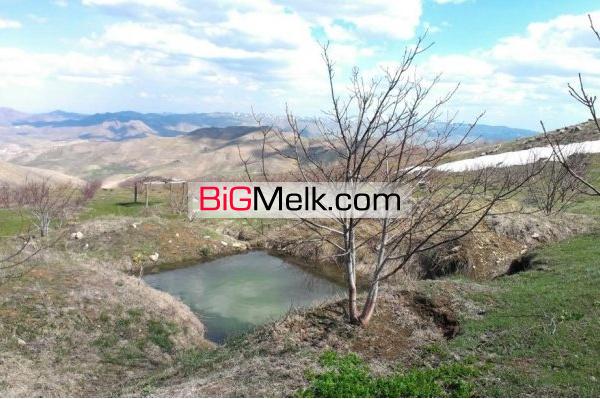 فروش باغ و زمین کشاورزی  آذربایجان غربی مهاباد 3هکتار