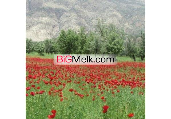 4500 متر زمین بین راهی شیراز.کازرون