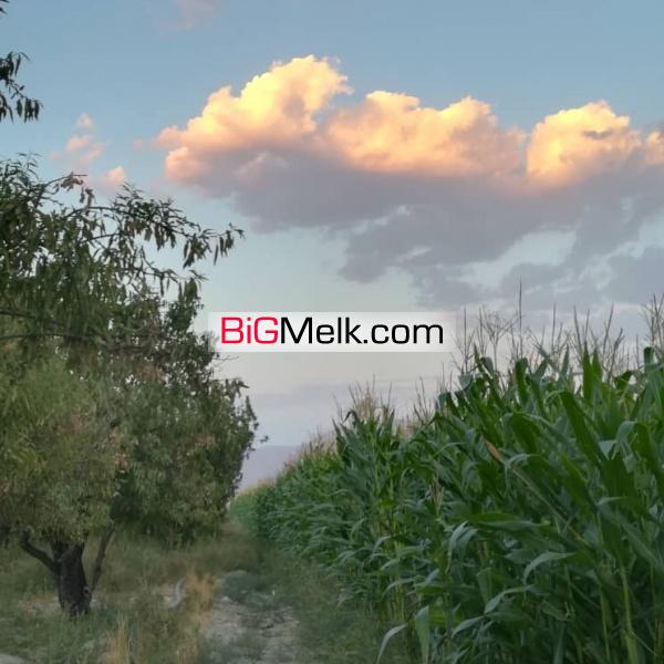 باغ زمین واقع در مهارلو