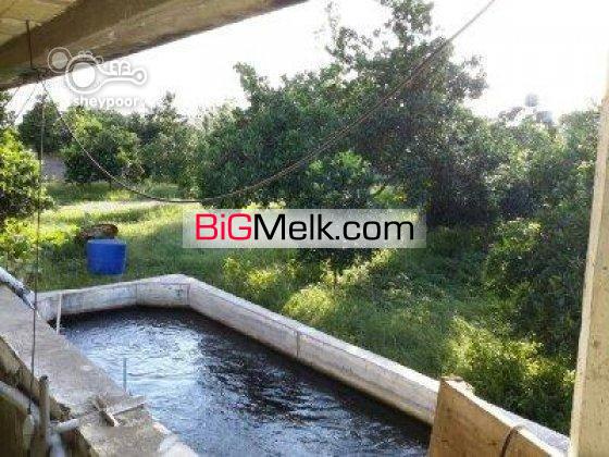 فروش 4000 متر پرورش ماهی سردآبی | مازندران، قائم شهر