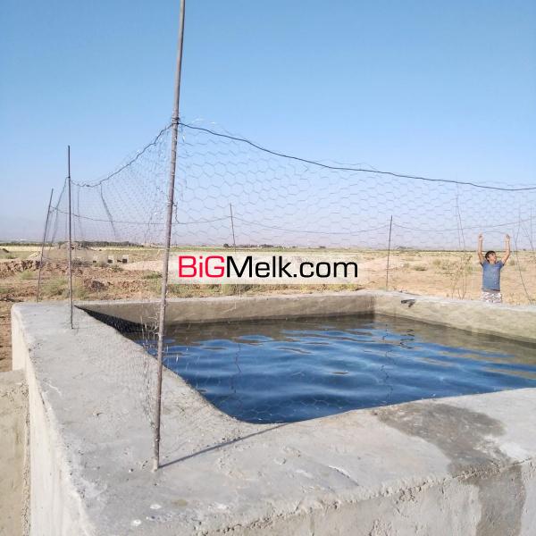 زمین کشاورزی فروشی