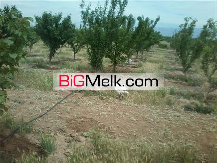 فروش باغ در کرج شهرک زعفرانیه کمال شهر 1000 متر