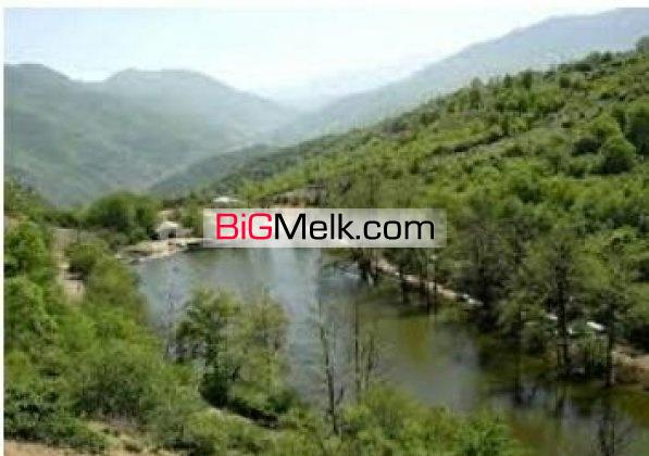 1هکتار زمین جهت پرورش ماهی،گاوداری،مرغداری تنکابن | تنکابن، نمکدره