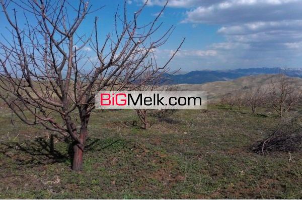 فروش باغ و زمین کشاورزی  آذربایجان غربی مهاباد 3هکتار