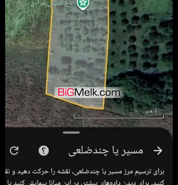 باغ انواع سیب زرد سیب قرمز و گردو