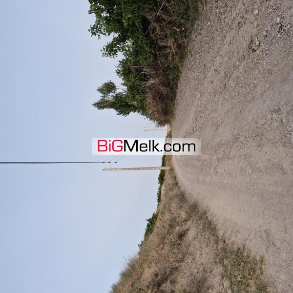 باغ سیب لوکیشن عالی و دنج