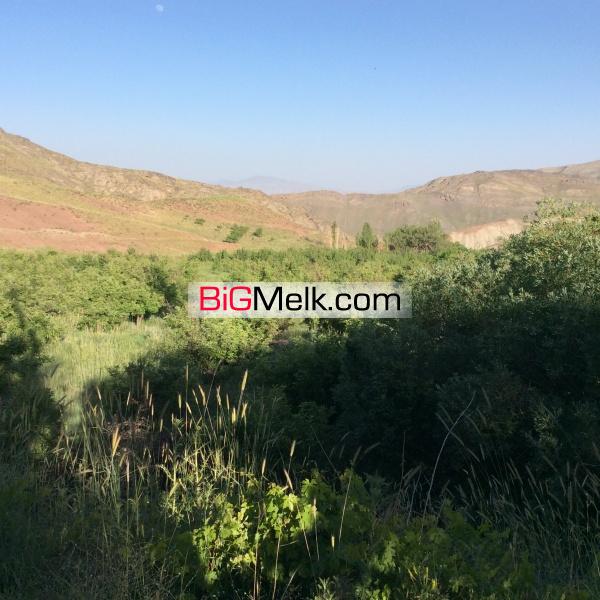 20 هکتار مزرعه با شرایط استثنایی