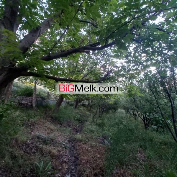 باغ روستای دهنار دماوند