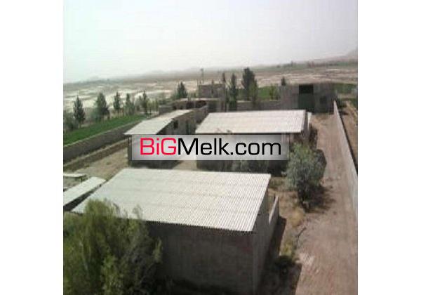 گاوداری100 راسی شیری 3 هکتار