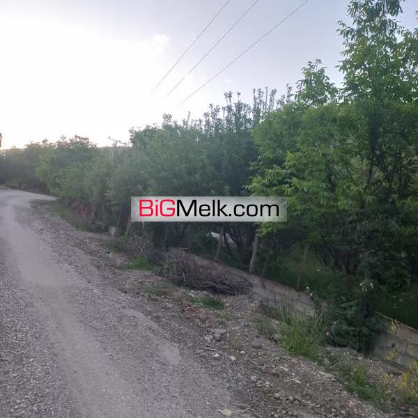 باغ روستای دهنار دماوند