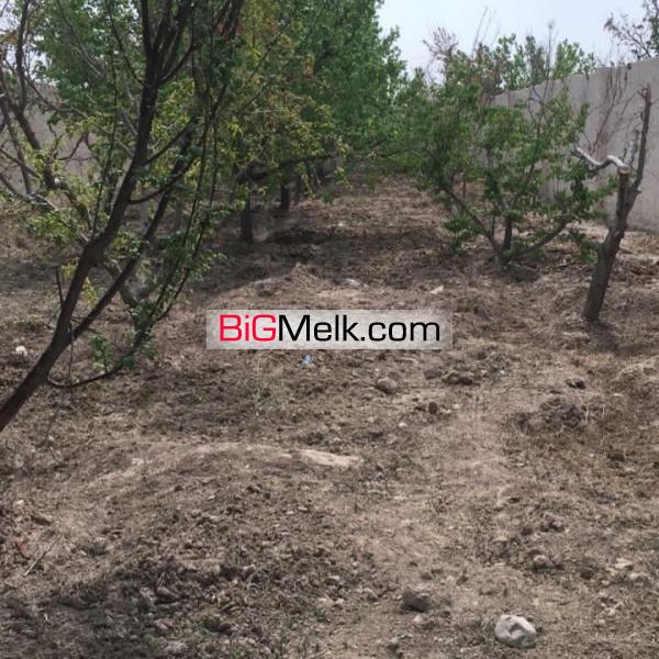 باغچه درمنطقه گردشگری یوسف رضاداخل شهرک