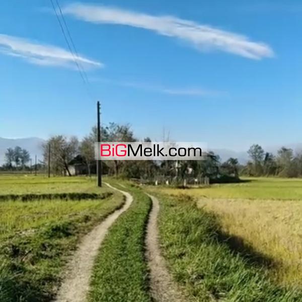 زمین کشاورزی با چاه آب اختصاصی