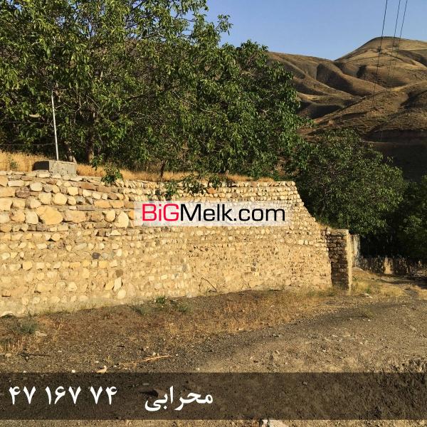 فروش باغ گردو در روستای خوش آب و هوا و ییلاقی گیلوان