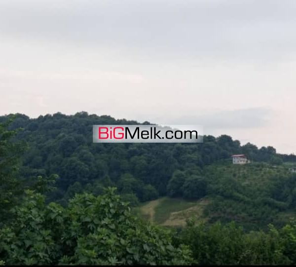 ۱۲۰متر زمین ۱۰۰متر بنای بازسازی شده