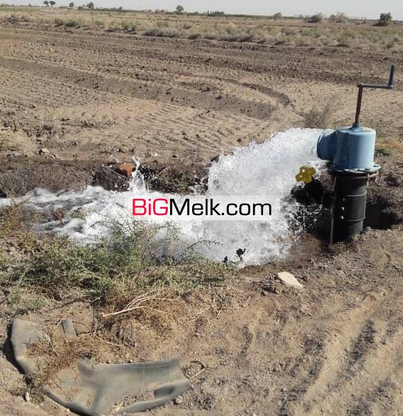 فروش 2 هکتار زمین با ساخت