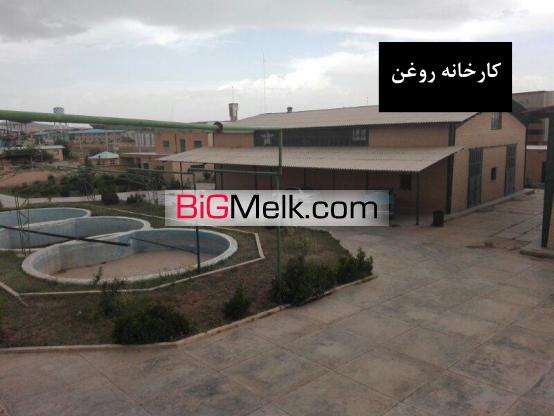 فروش استثنائی کارخانه تولید تصفیه و بسته بندی روغن صنعتی
