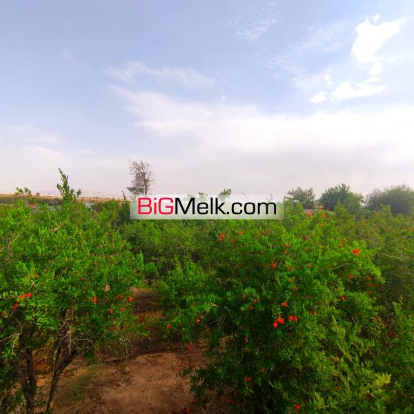 فروش باغ ویلایی چهار دیواری