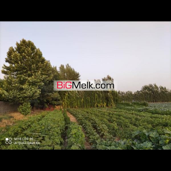 ۳هکتار زمین کشاورزی با امتیازات کامل