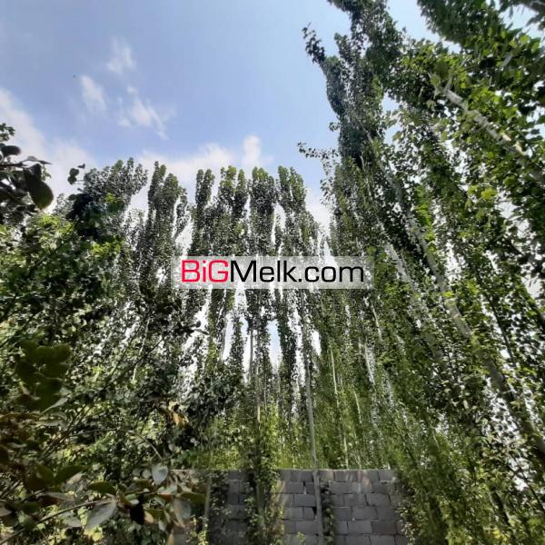 باغ و باغچه در قاسم آباد تهرانچی