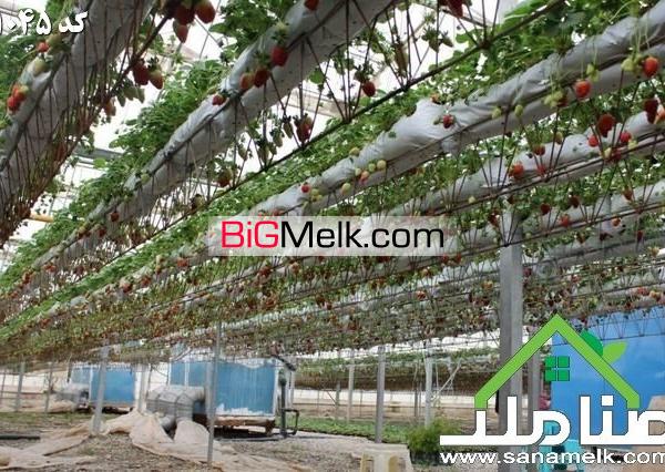 فروش گلخانه زیرکشت مجهز در صفادشت کد1045