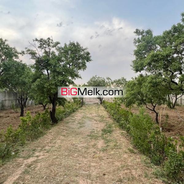 زمین باغی ۱۰۰۰ متری دنج و آرام