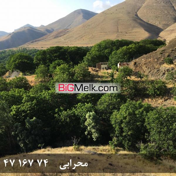 فروش باغ گردو در روستای خوش آب و هوا و ییلاقی گیلوان