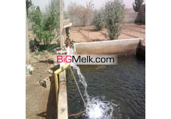 گاوداری100 راسی شیری 3 هکتار