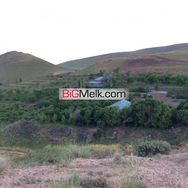 20 هکتار مزرعه با شرایط استثنایی