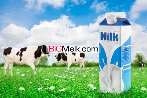گاوداری‌۳۰هکتاری‌۲۰۰۰راسی شیری برای فروش