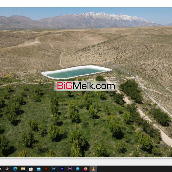 فروش باغ ۲۲ساله