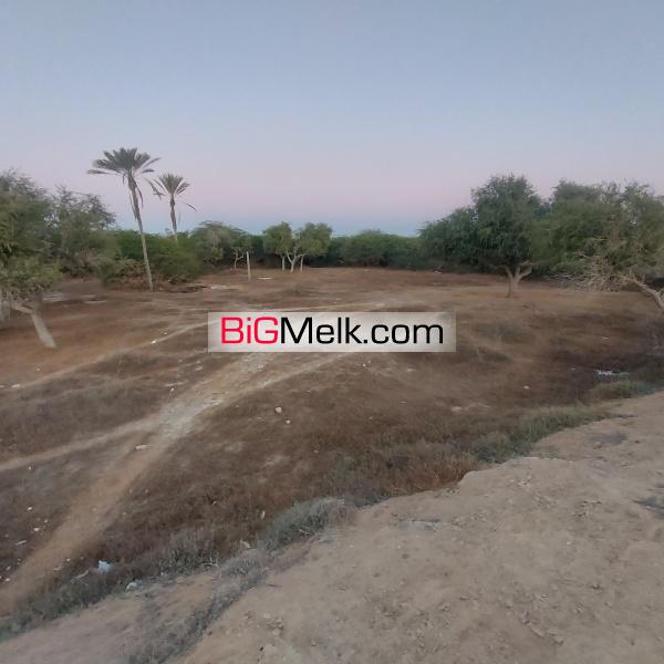 زمین مناسب برای بوم گردی و گردشگری