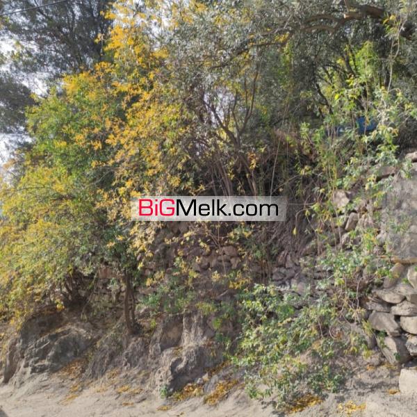 باغ و زمین مسکونی با ویو عالی در گیلان رودبار