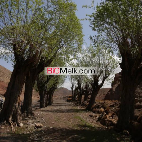 زمین ویلایی و کشاورزی