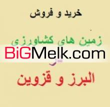 فروش فوری زمین کشاورزی